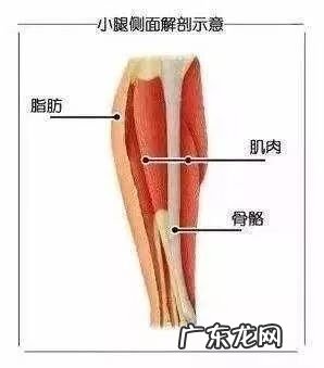 仙人山放在客厅好吗 风水仙人伸腿