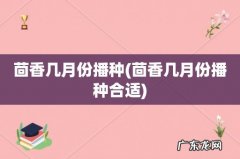 茴香几月份播种合适 茴香几月份播种