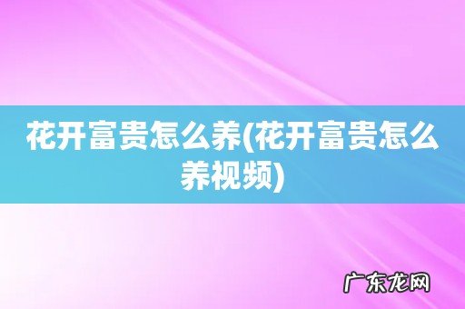 花开富贵怎么养视频 花开富贵怎么养