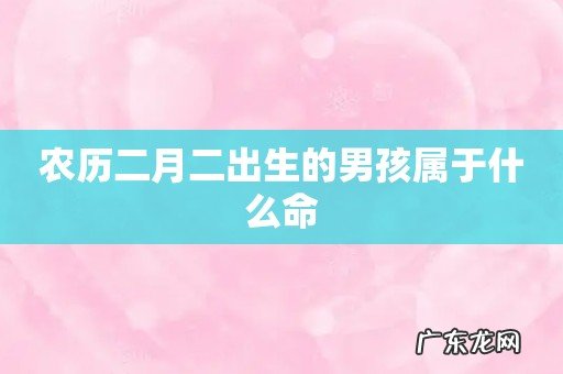 农历二月二出生的男孩属于什么命