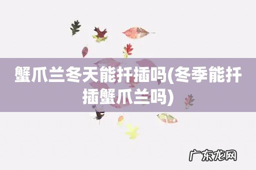 冬季能扦插蟹爪兰吗 蟹爪兰冬天能扦插吗