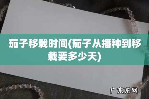 茄子从播种到移栽要多少天 茄子移栽时间