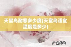 天堂鸟适宜温度是多少 天堂鸟耐寒多少度