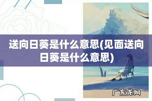 见面送向日葵是什么意思 送向日葵是什么意思