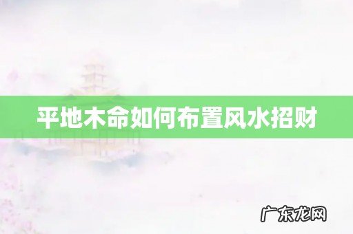 平地木命如何布置风水招财