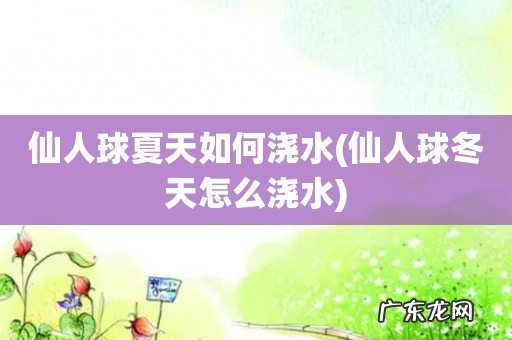 仙人球冬天怎么浇水 仙人球夏天如何浇水