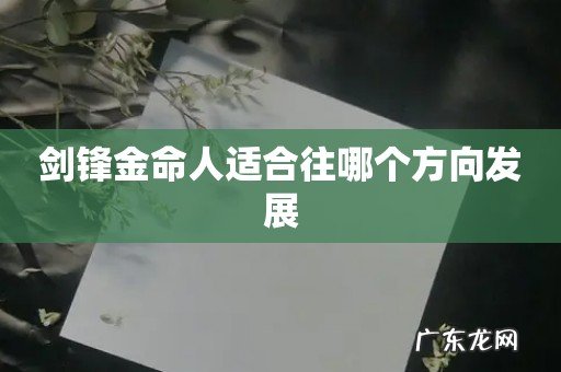 剑锋金命人适合往哪个方向发展