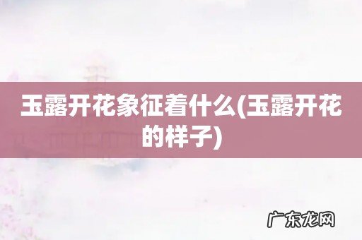 玉露开花的样子 玉露开花象征着什么