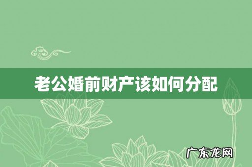 老公婚前财产该如何分配