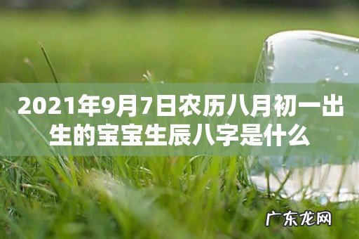 2021年9月7日农历八月初一出生的宝宝生辰八字是什么