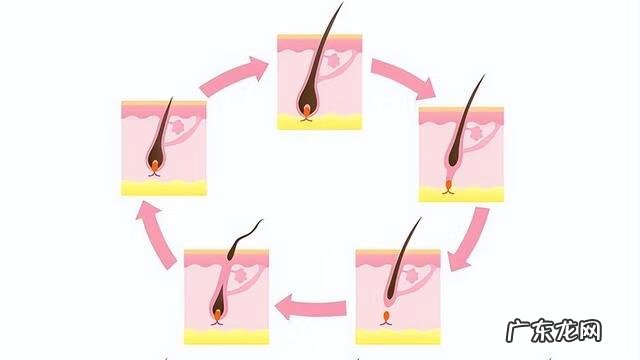 掉头发很严重怎么办 一直掉头发很厉害怎么办