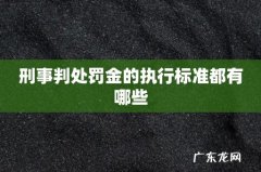 刑事判处罚金的执行标准都有哪些