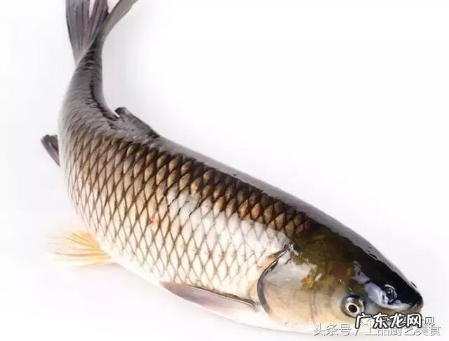 潮州小炒皇 潮州大鱼丸介绍