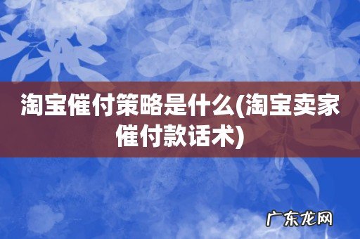 淘宝卖家催付款话术 淘宝催付策略是什么