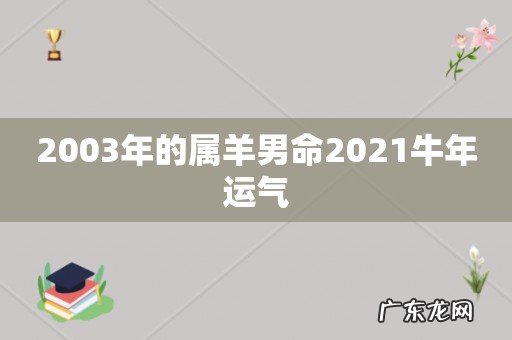 2003年的属羊男命2021牛年运气