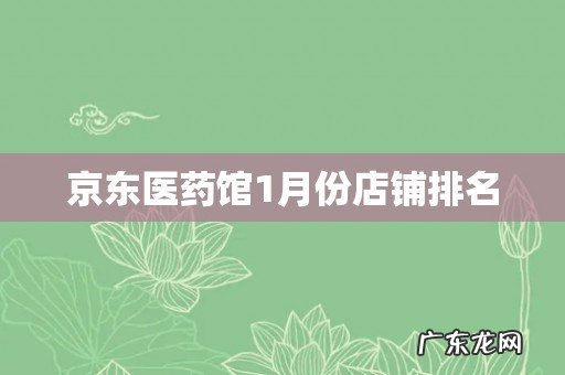 京东医药馆1月份店铺排名