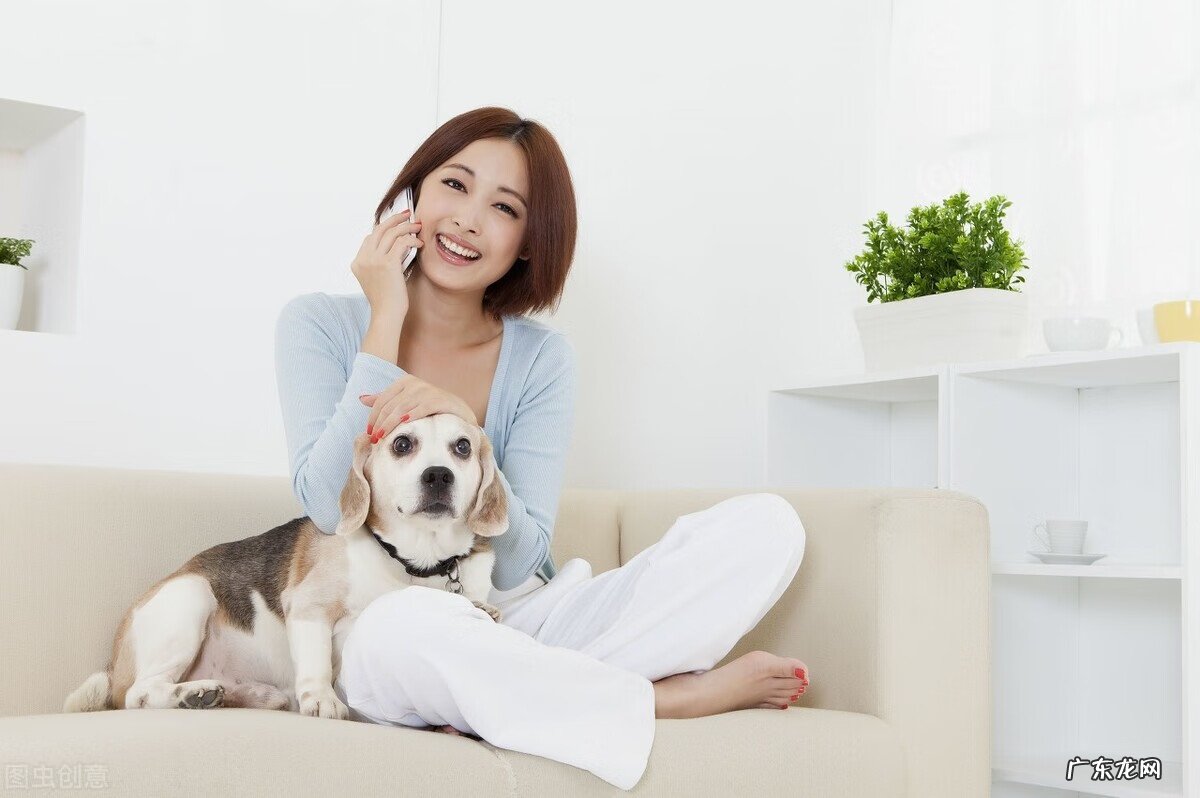 家里父母经常吵架风水哪里出了问题 和父亲吵架风水问题怎么办