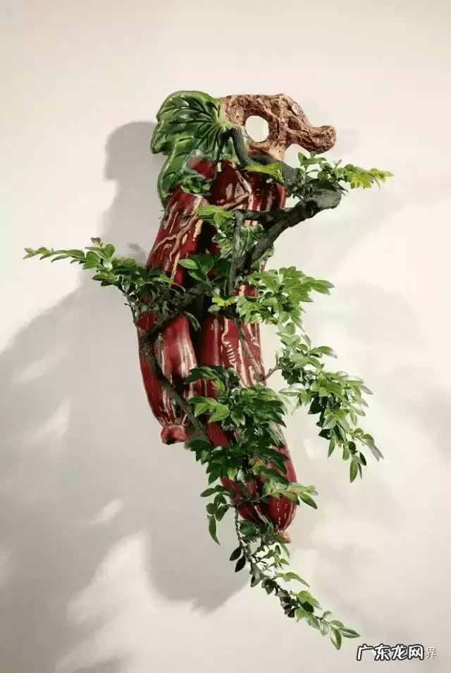 树桩的图画 风水画树桩图片大全欣赏