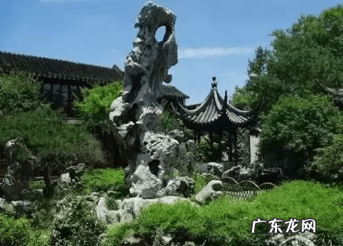 老树桩可以放家里吗 树桩上放什么风水好呢