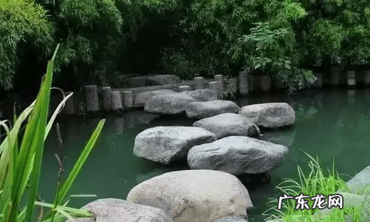 老树桩可以放家里吗 树桩上放什么风水好呢