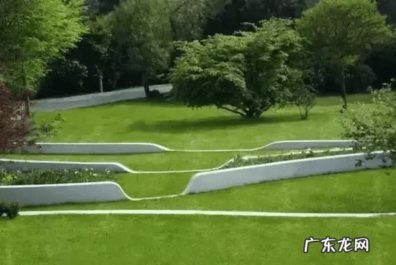 老树桩可以放家里吗 树桩上放什么风水好呢