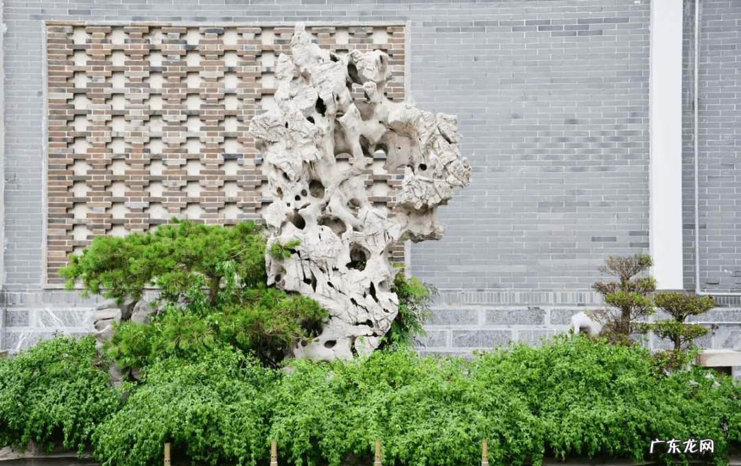 老树桩可以放家里吗 树桩上放什么风水好呢