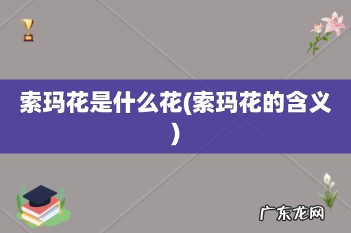 索玛花的含义 索玛花是什么花