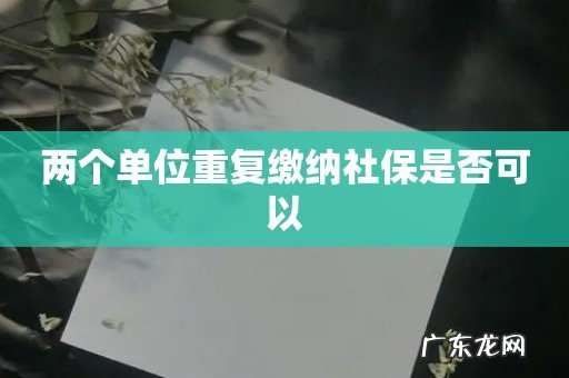 两个单位重复缴纳社保是否可以
