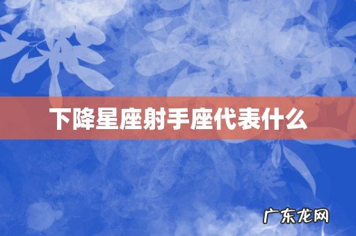 下降星座射手座代表什么