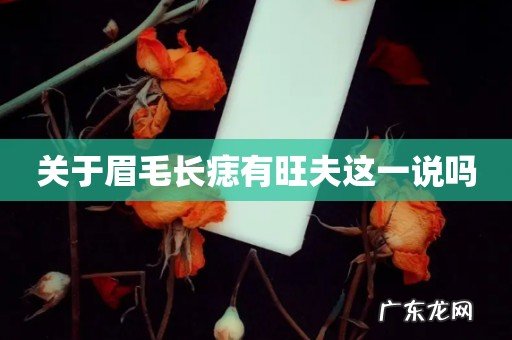 关于眉毛长痣有旺夫这一说吗