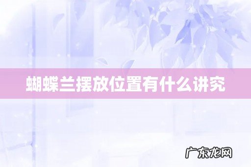 蝴蝶兰摆放位置有什么讲究