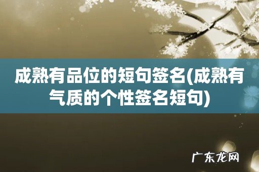 成熟有气质的个性签名短句 成熟有品位的短句签名