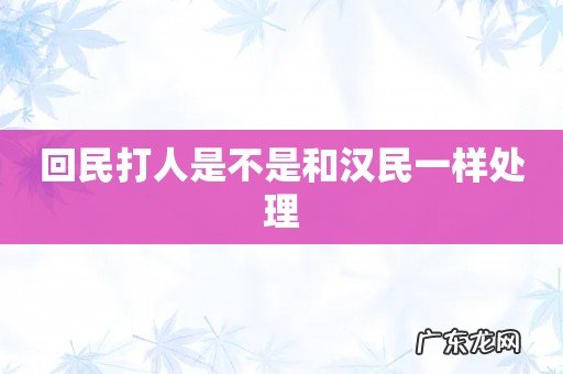 回民打人是不是和汉民一样处理