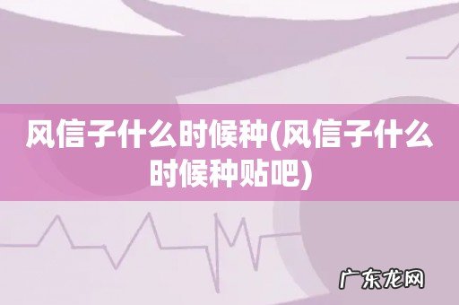 风信子什么时候种贴吧 风信子什么时候种