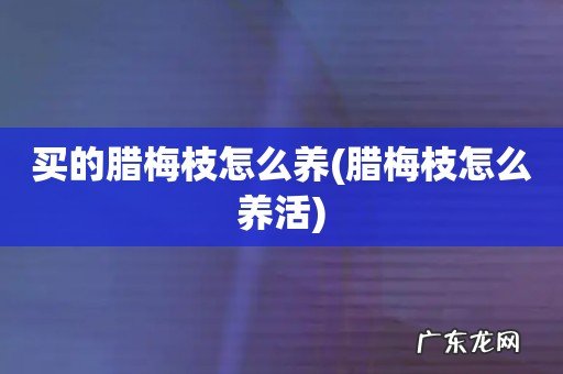 腊梅枝怎么养活 买的腊梅枝怎么养