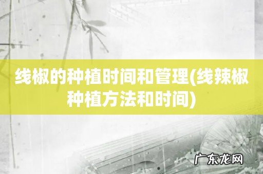 线辣椒种植方法和时间 线椒的种植时间和管理