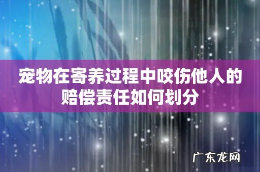 宠物在寄养过程中咬伤他人的赔偿责任如何划分