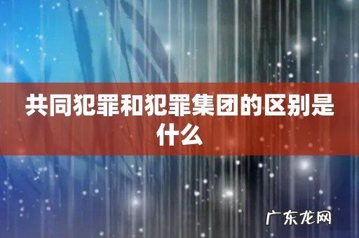 共同犯罪和犯罪集团的区别是什么