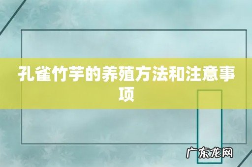 孔雀竹芋的养殖方法和注意事项