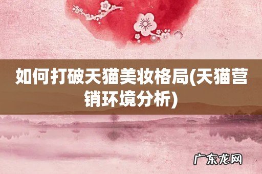 天猫营销环境分析 如何打破天猫美妆格局