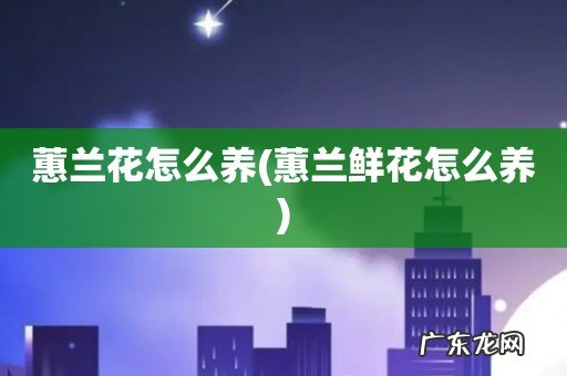 蕙兰鲜花怎么养 蕙兰花怎么养