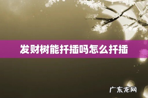 发财树能扦插吗怎么扦插