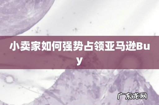 小卖家如何强势占领亚马逊Buy