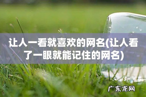 让人看了一眼就能记住的网名 让人一看就喜欢的网名