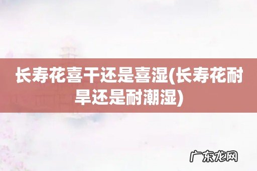 长寿花耐旱还是耐潮湿 长寿花喜干还是喜湿