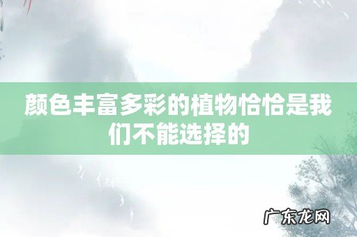 颜色丰富多彩的植物恰恰是我们不能选择的
