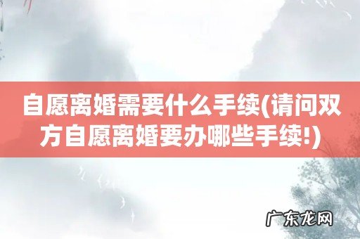 请问双方自愿离婚要办哪些手续! 自愿离婚需要什么手续