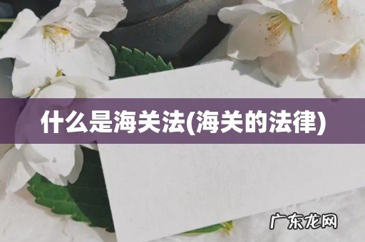 海关的法律 什么是海关法