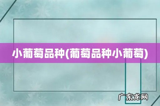 葡萄品种小葡萄 小葡萄品种