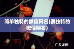 很独特的微信网名 简单独特的微信网名